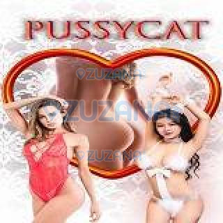 Pussycat