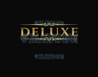 DELUX AGENCY 