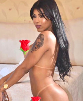 Trans Escort