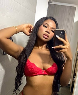 Pornstar Escort